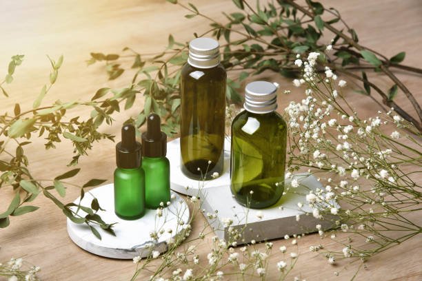 Cosmetic bottle containers packaging with green herbal leaves, Blank label for organic branding mock-up, Natural skincare beauty product concept.