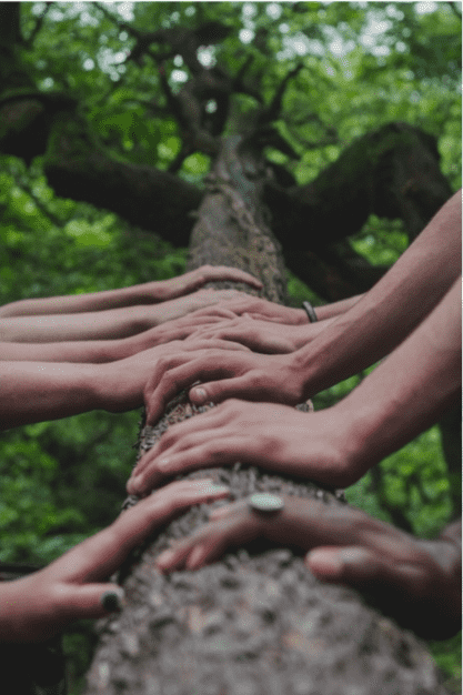 solidaire-transformed